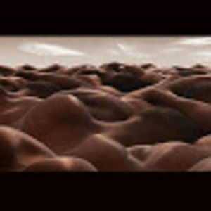 Meet your Posher, Chase